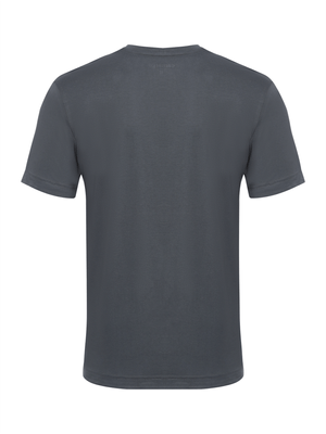 Camiseta Pima Gola V - Cinza